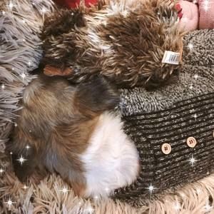 Meet your Posher, Patricia